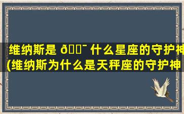 维纳斯是 🐯 什么星座的守护神(维纳斯为什么是天秤座的守护神)